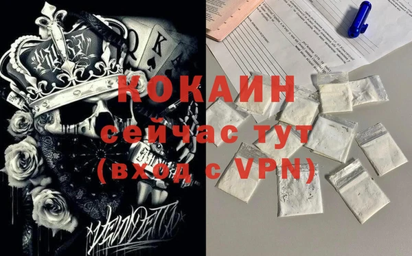 шишки Кукмор