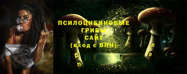 mdma Елизово