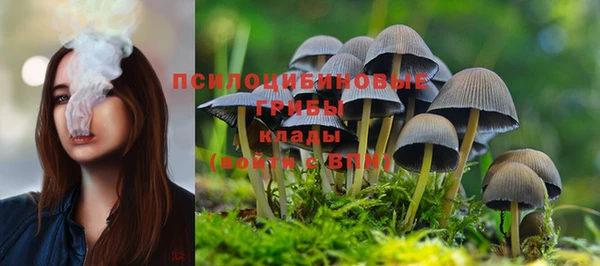 шишки Липки