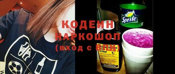 соль ск Козельск