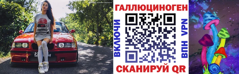 Псилоцибиновые грибы Psilocybine cubensis Тимашёвск