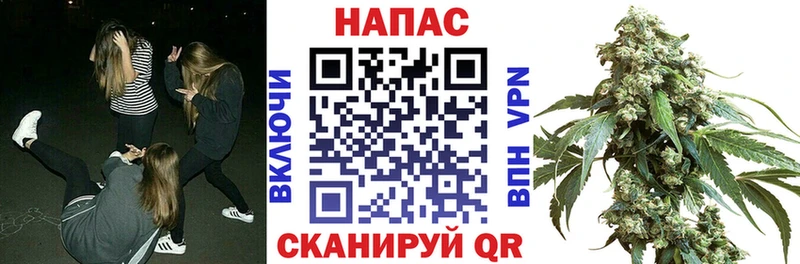 МАРИХУАНА Ganja  Тимашёвск 